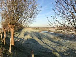 Ferienhaus Nieuwvliet Umgebung 23