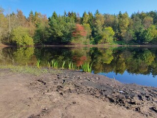 Vakantiehuis Jegum  42