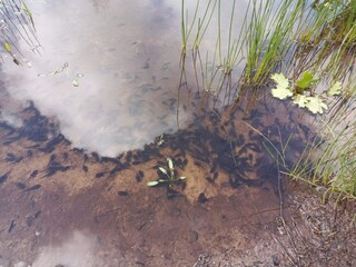 Casa per le vacanze Jegum  5