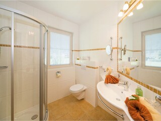 Appartamento per vacanze Zell am Ziller Caratteristiche 13