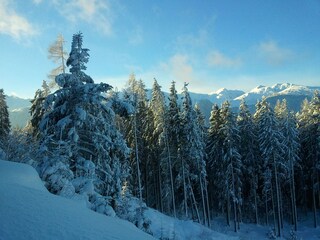 Vakantieappartement Zell am Ziller Omgeving 27