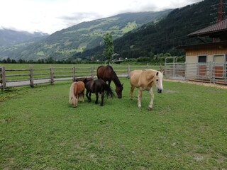 Appartamento per vacanze Zell am Ziller Registrazione all'aperto 4