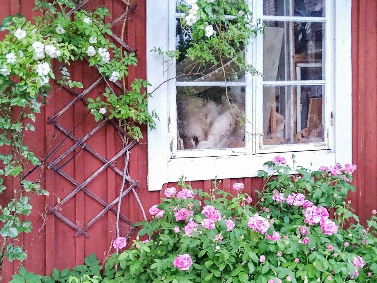 Ferienhaus Muskö Außenaufnahme 3