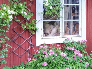 Holiday house Muskö Outdoor Recording 3