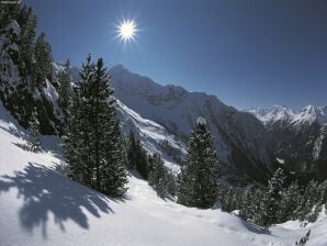 Apartment Gemütliche Ferienwohnung nahe dem Skigebiet - Hohe Salve - image1