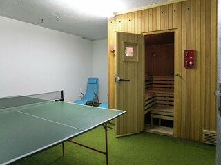 Apartamento Hopfgarten im Brixental Características 9