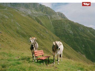 Apartamento Hopfgarten im Brixental Entorno 14