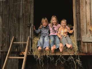 Appartement Hopfgarten im Brixental Environnement 14