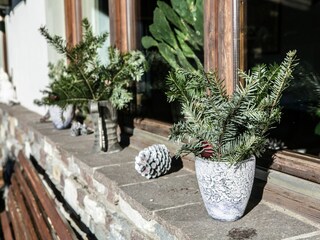 Apartment Hopfgarten im Brixental  20