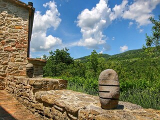 Fattoria Preggio Registrazione all'aperto 10