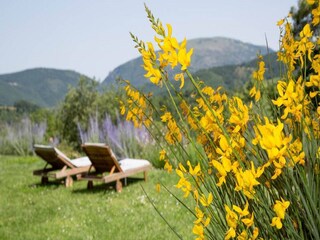 Fattoria Preggio Registrazione all'aperto 23