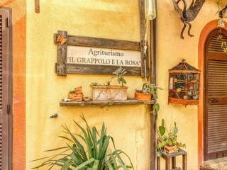 Holiday house Montefalco  41