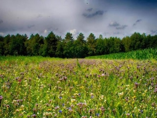 Parc de vacances Reek Environnement 16
