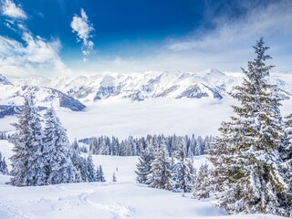 Maison de vacances Kitzbühel Environnement 32