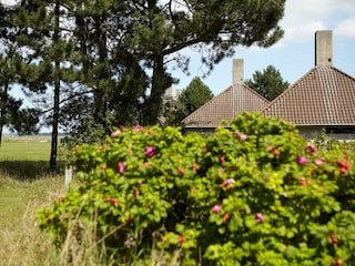 Vakantiepark Enø  9