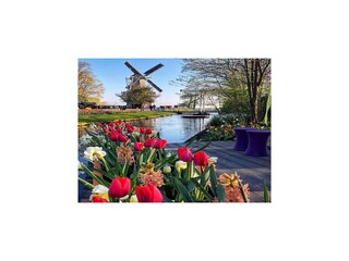 Maison de vacances Schoorl Environnement 29