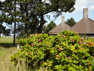 Parc de vacances Enø  18