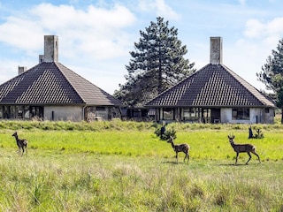 Vakantiepark Enø  9