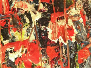 Appartement Bergen (Holland)  21