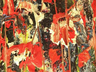 Apartment Bergen (Holland)  20