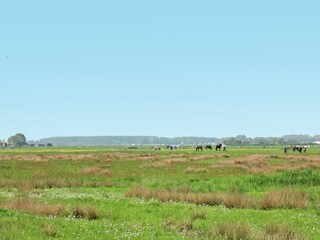 Appartement Bergen (Holland) Omgeving 25