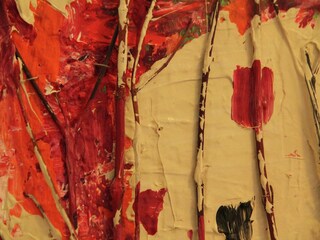 Appartamento Bergen (Holland)  23