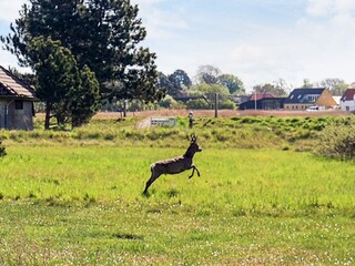 Parc de vacances Enø  30