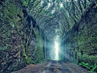 Appartement Bajamar  35