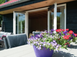 Holiday house Egmond aan den Hoef  24