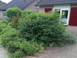 Bungalow Emmerich Buitenaudio-opname 2