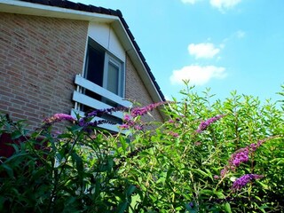 Bungalow Emmerich Buitenaudio-opname 11