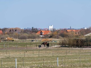 Ferienhaus Rindby Außenaufnahme 13