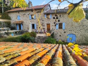 Casa rural Mansión restaurada en Saint-Basile con piscina privada - lamastre - image1