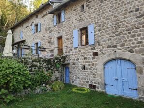 Gîte Maison de vacances avec piscine privée - Lamastre - image1