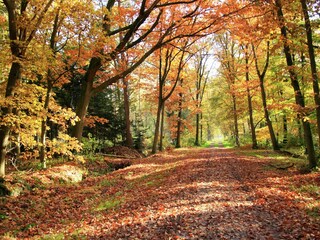 Vakantiehuis Raalte Omgeving 34