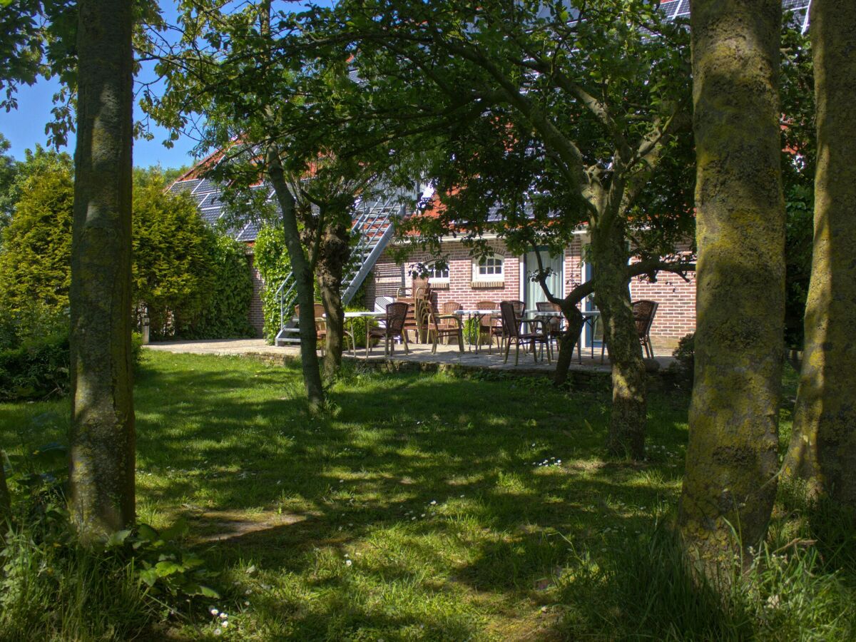 Type de propriété : Ferme Witmarsum Enregistrement extérieur 1