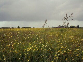 Boerderij Witmarsum Omgeving 28