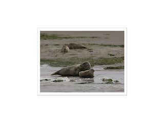 Fattoria Witmarsum Ambiente 30