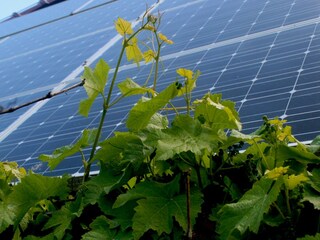 Boerderij Witmarsum  28