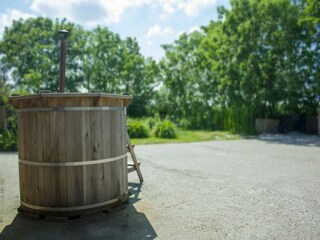 Type de propriété : Ferme Witmarsum  31