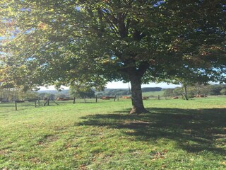 Casa per le vacanze Ecuras Registrazione all'aperto 14