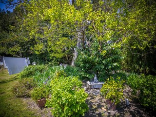 Chalet Ameglia Buitenaudio-opname 7