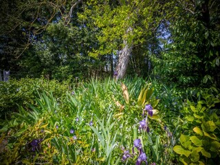Chalet Ameglia Außenaufnahme 8