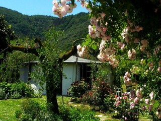 Chalet Ameglia Buitenaudio-opname 9