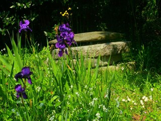 Chalet Ameglia Environment 19