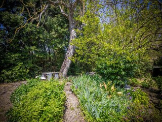 Chalet Ameglia Buitenaudio-opname 3