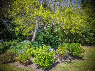 Chalet Ameglia Buitenaudio-opname 6