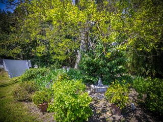 Chalet Ameglia Registrazione all'aperto 7