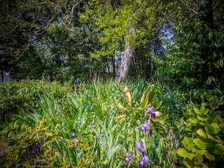 Chalet Ameglia Buitenaudio-opname 8