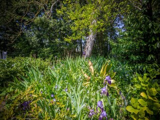 Chalet Ameglia Outdoor Recording 8